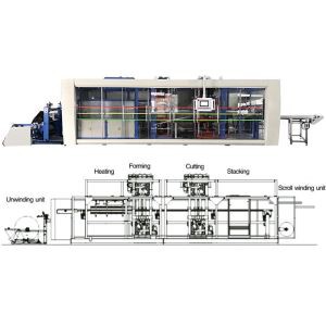 Peiriant Gwneud Cwpan Plastig Awtomatig