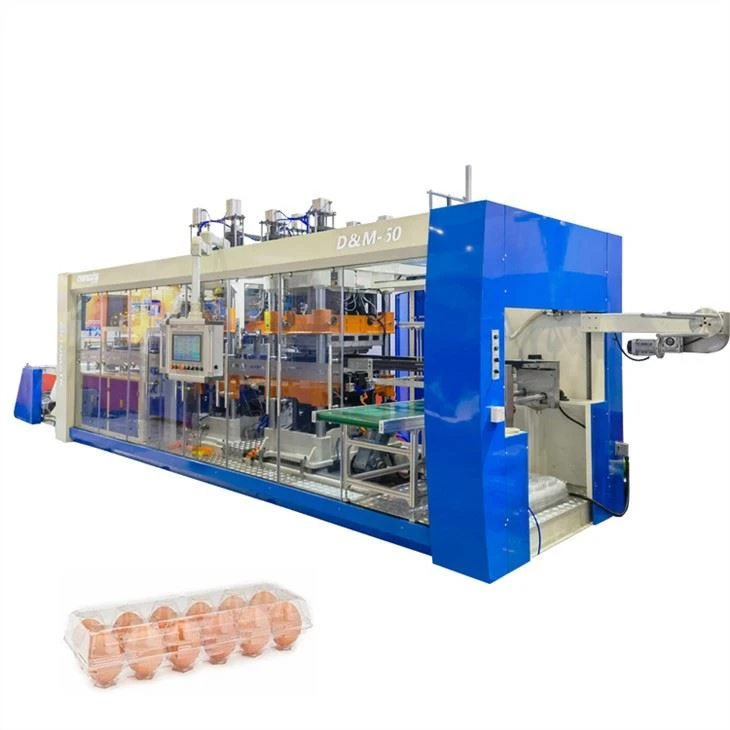 Pedair Gorsaf Peiriant Thermoforming Hambwrdd Wyau Awtomatig